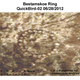 Image for article titled Newly-Discovered Geoglyphs Are So Big, NASA Is Helping Study Them From Space